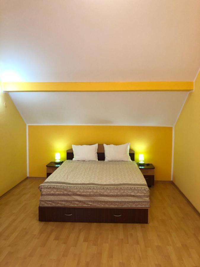 Haus Paltinul Apartment *